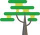 North Africa Trees